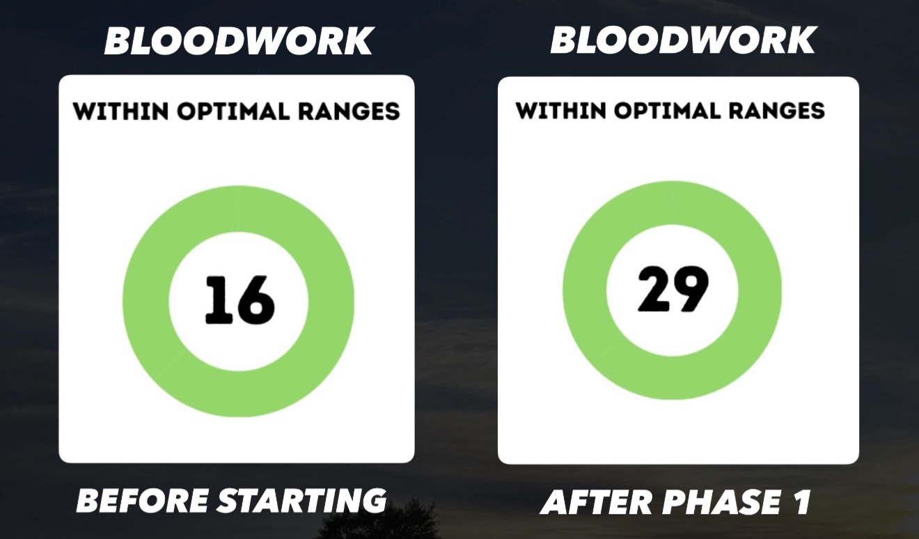 16 to 29 markers within optimal ranges